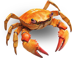 Preview for Orange-crab-digital-illustration-animal-sticker-5ff12