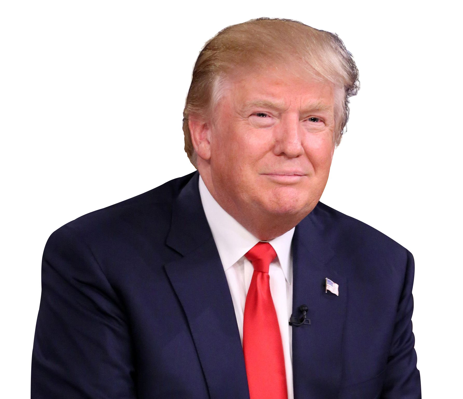 Preview for Donald-trump-official-portrait-election-2024-sticker-25eec