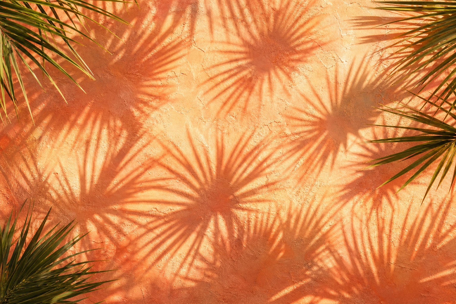 Preview for Peach Stucco Palm Shadow Background