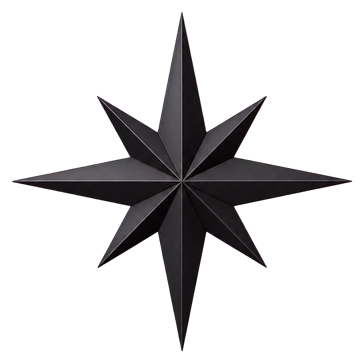 Black eight-point compass star with sharp dark gray and black facets