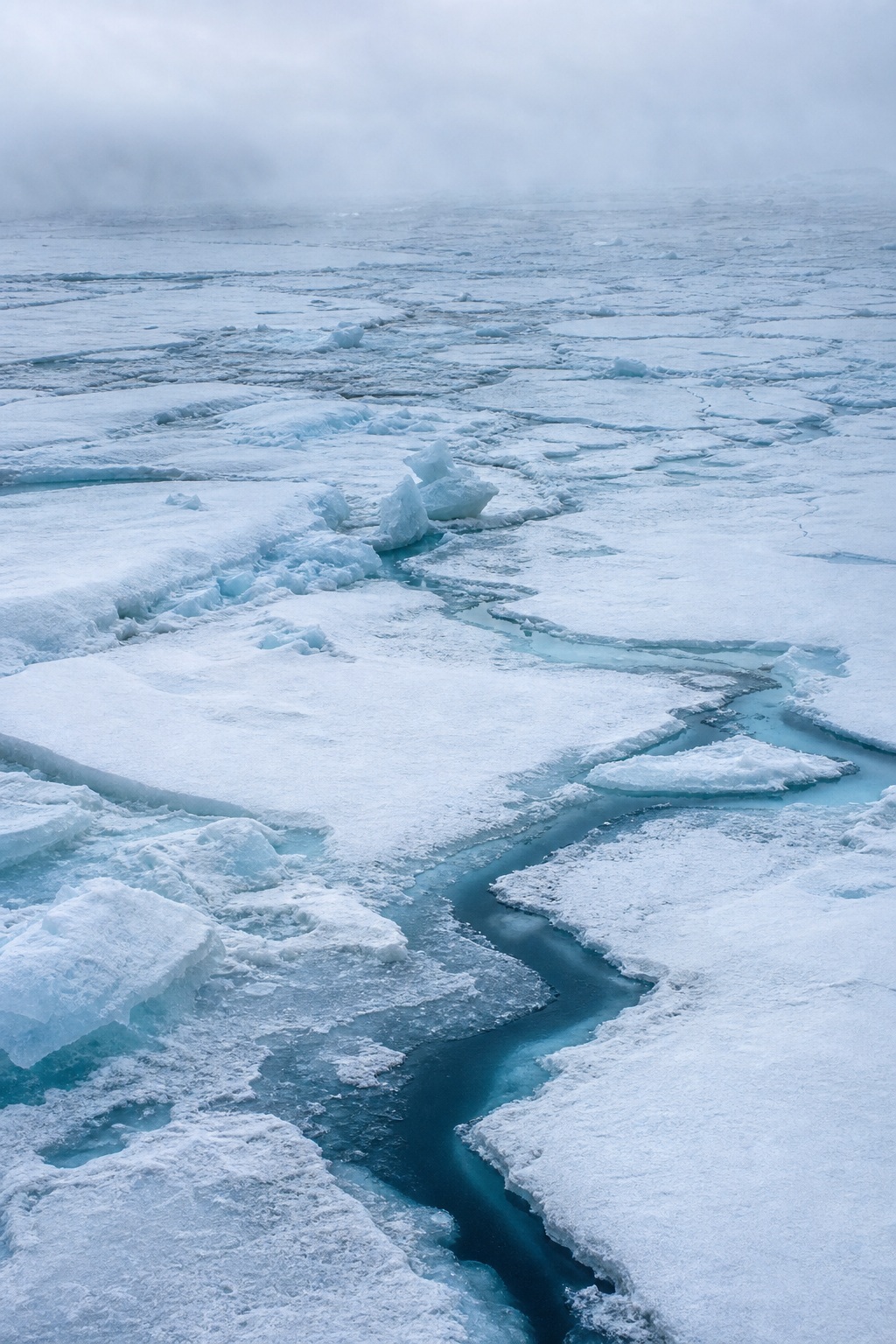 Preview for Arctic Ice Field Background