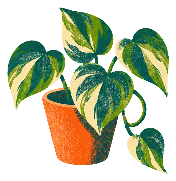 Preview for Risograph Houseplants Pothos