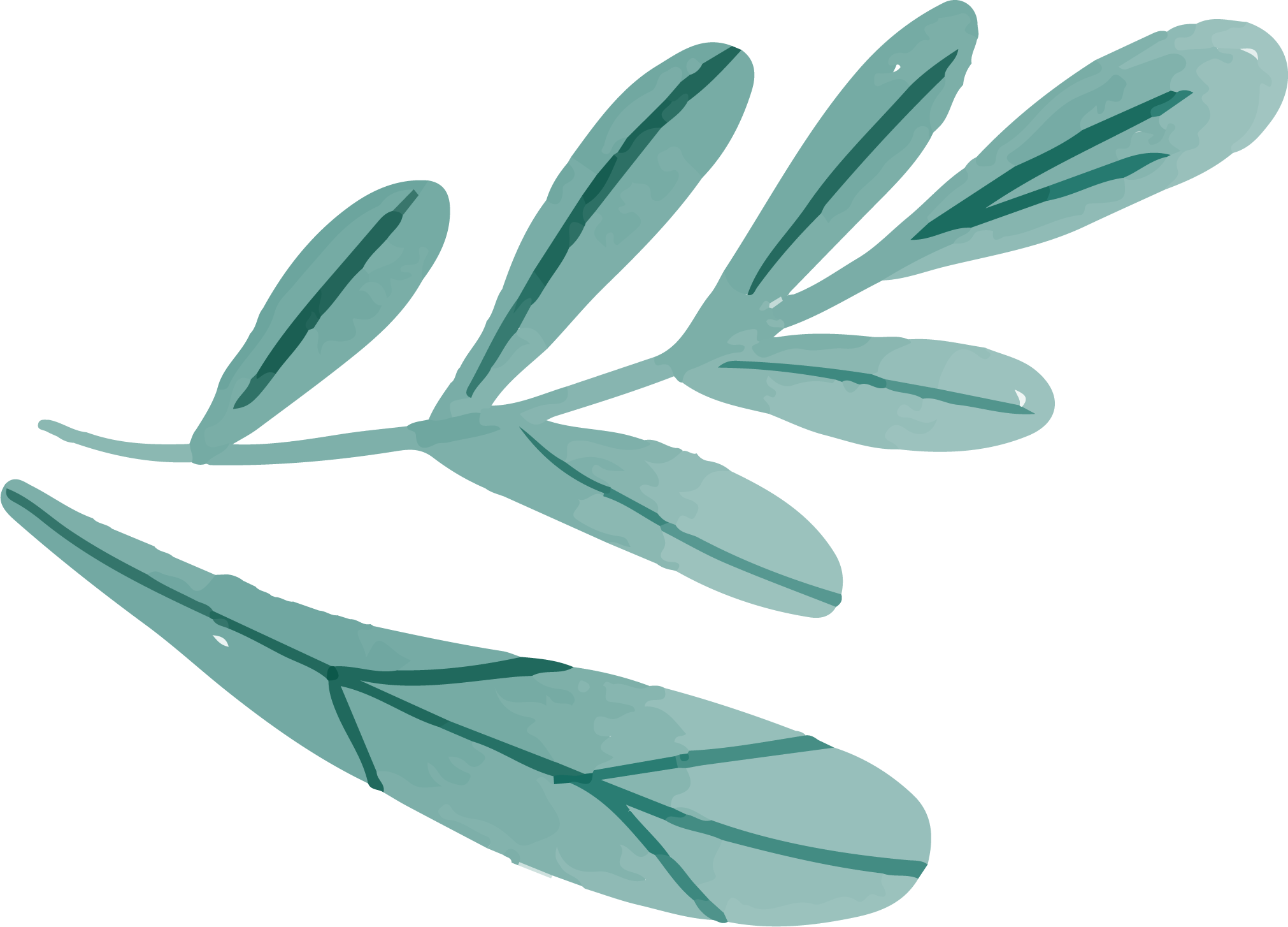 Preview for Olive-branch-illustration-watercolor-love-sticker-e1414