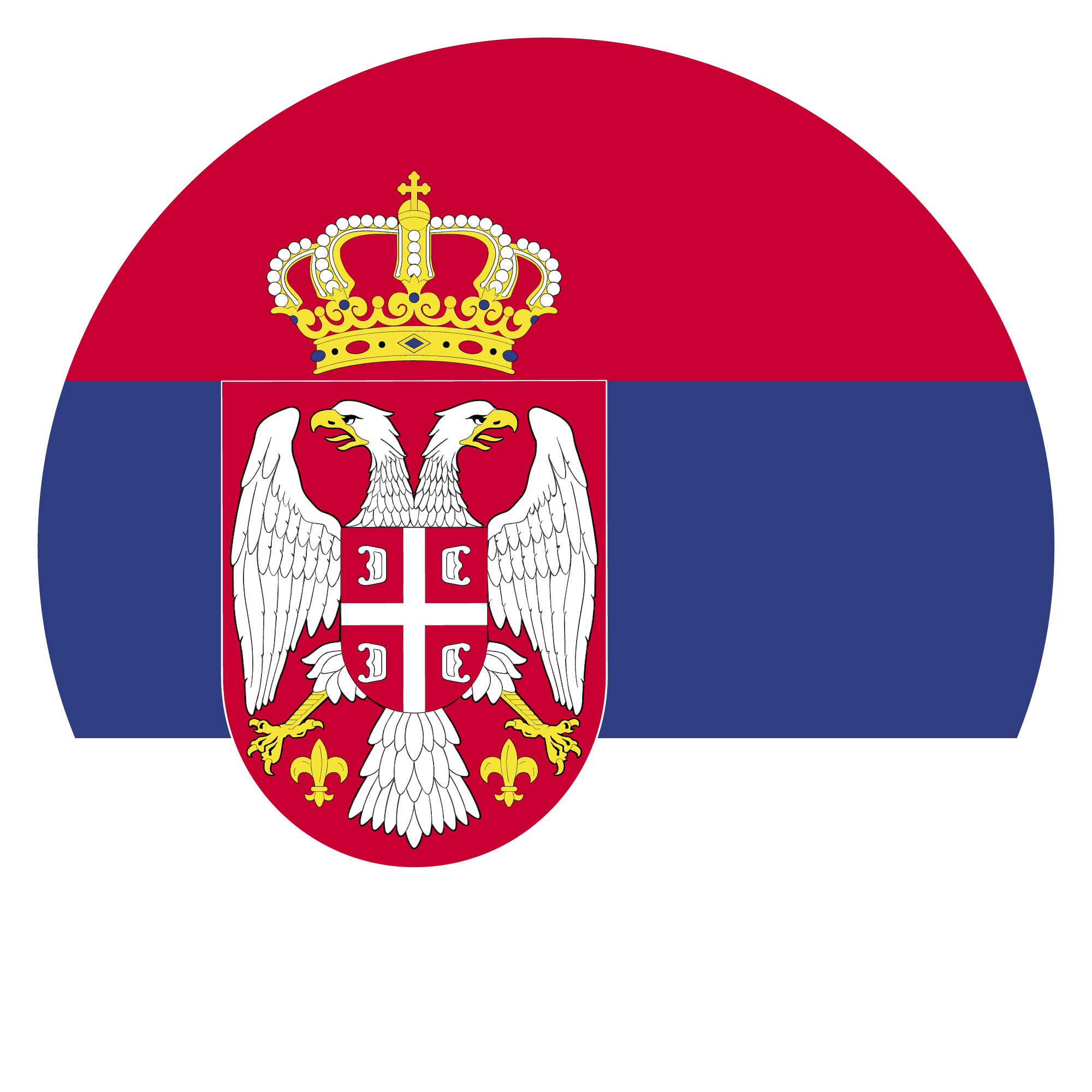 Preview for Serbian-flag-icon-world-cup-sticker-bf5ca