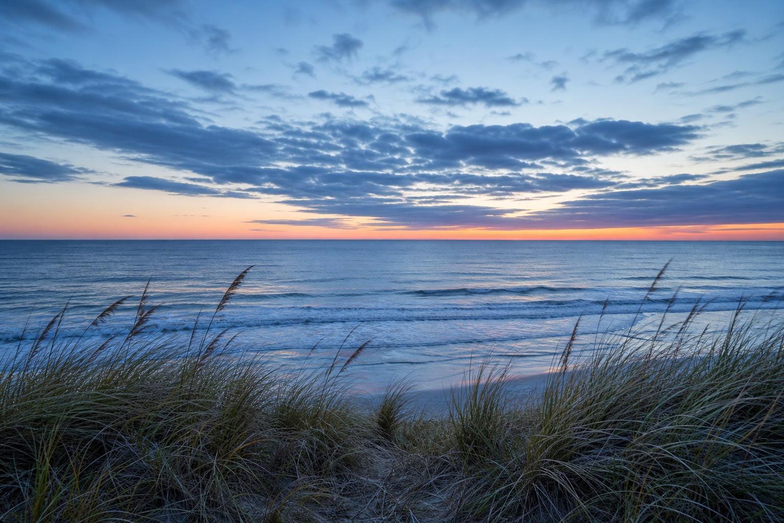 Preview for Cool First Light Dune Grass Coast Background