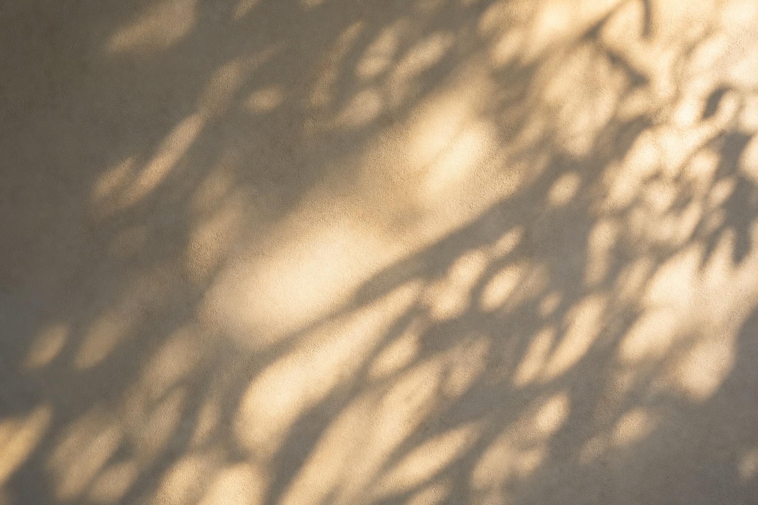 Preview for Abstract Sunlight Shadow Background
