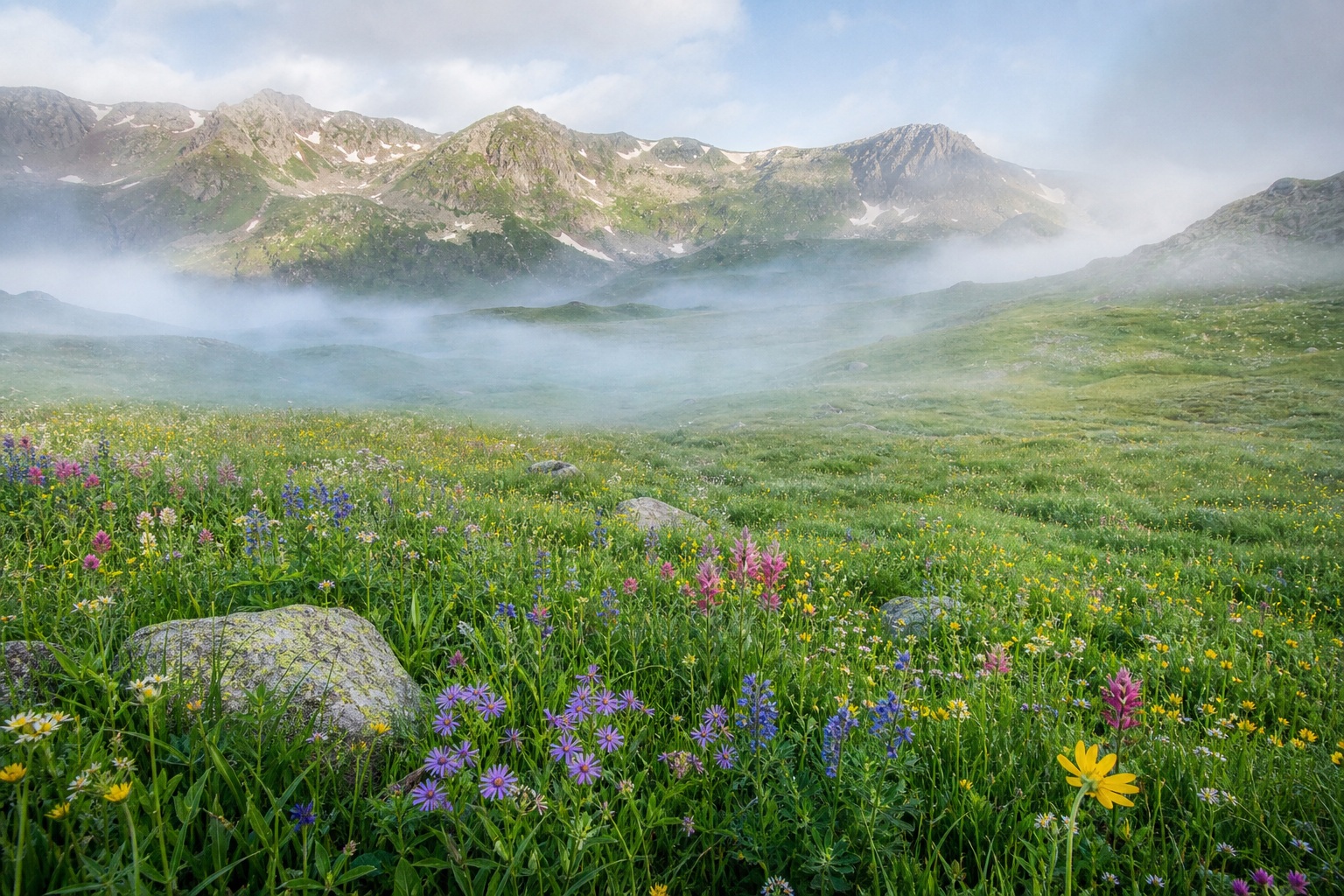 Preview for Clear Morning Misty Flower Basin Background