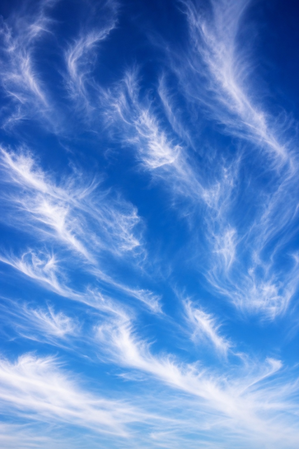 Preview for Vertical Cirrus Sky Background