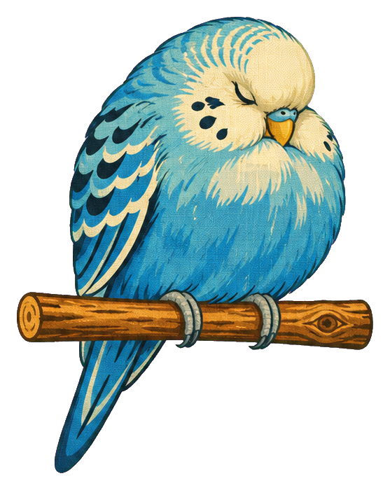 Preview for Sleepy Budgie