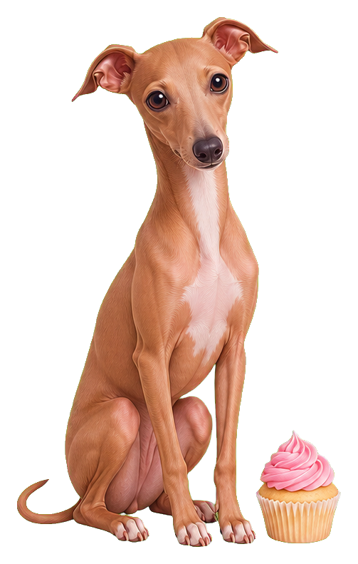 Tan Italian greyhound sitting beside a pink frosted cupcake sticker.
