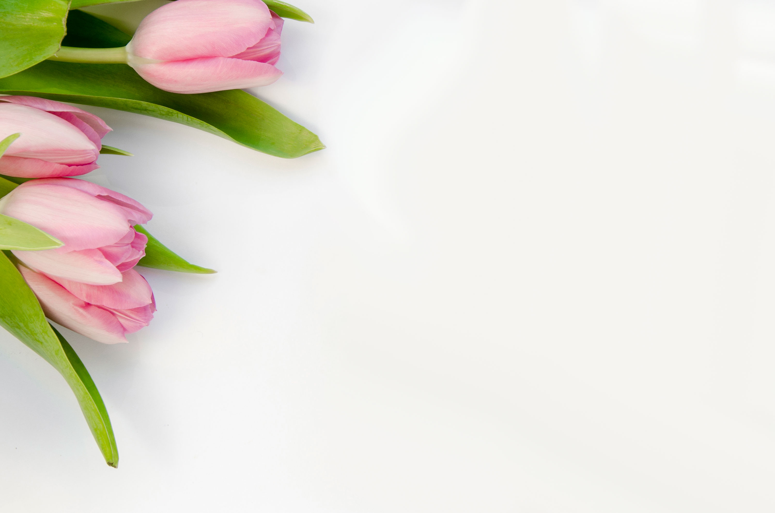 Preview for Pink-tulips-bouquet-mothers-day-background-bc3a0