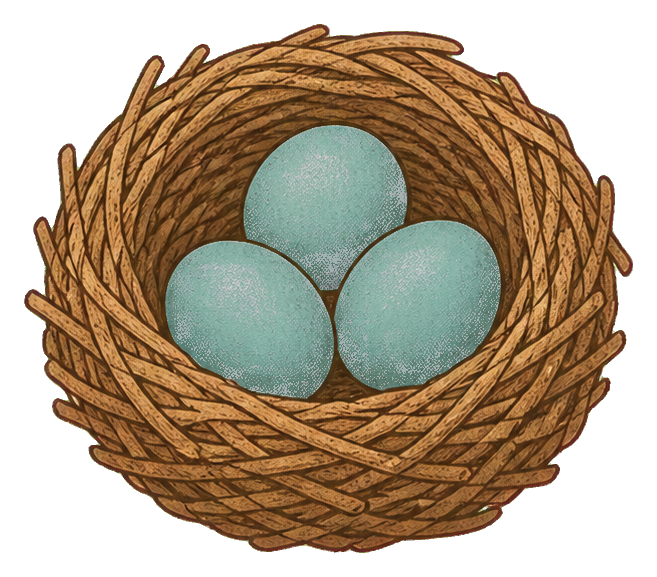 Preview for Woven Spring Bird Nest Sticker With Blue Eggs