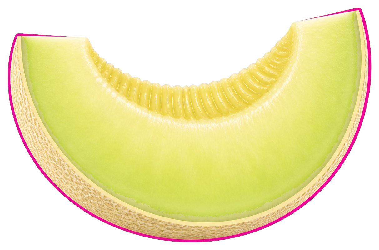 A bright green honeydew slice with a rind and pink outline.