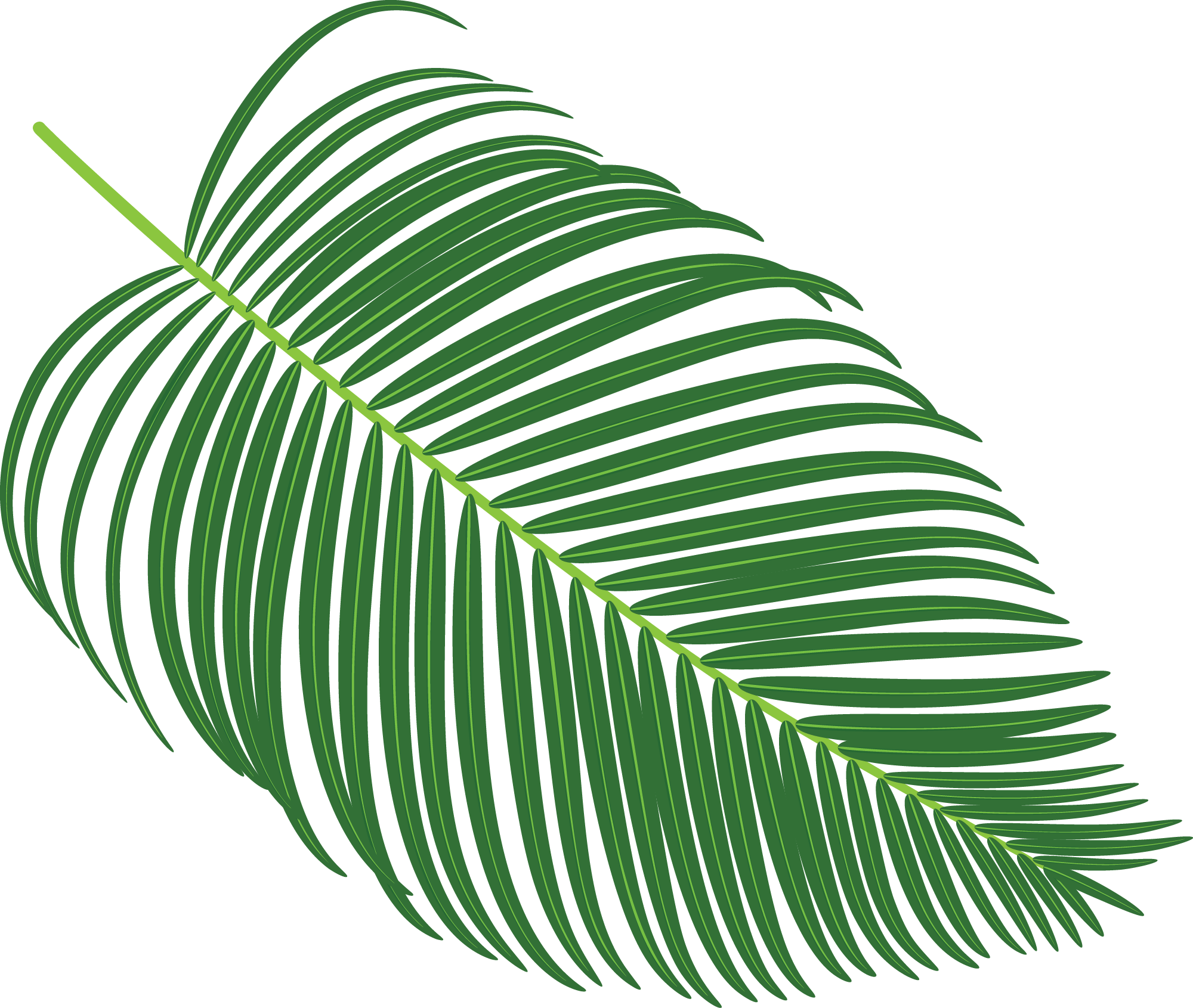 Preview for Green-leaf-illustration-summer-sticker-87f20