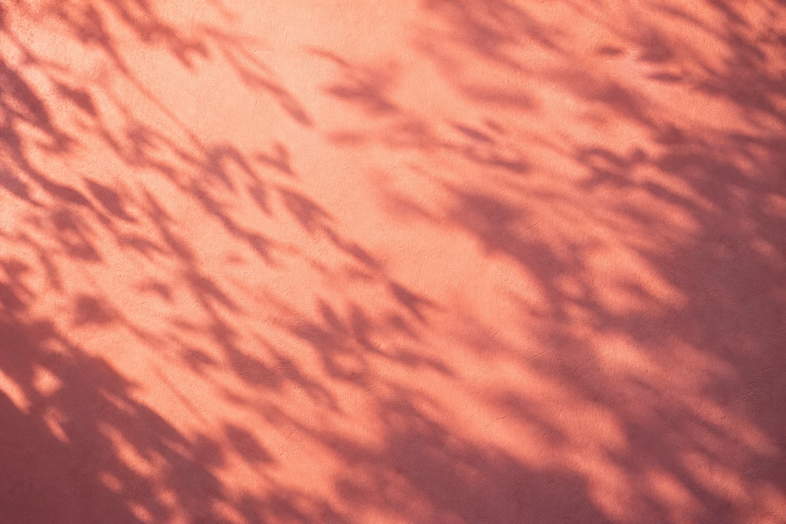 Preview for Peach Coral Botanical Shadow Background