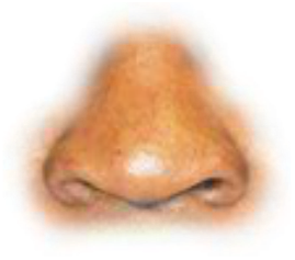 Preview for Glowing-nose-pixel-art-noses-sticker-2d77d