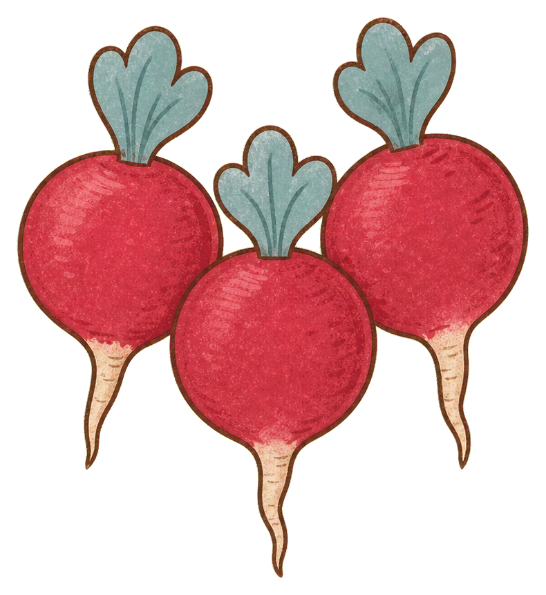 Preview for Radish Trio Sticker With Dusty Blue Leaves