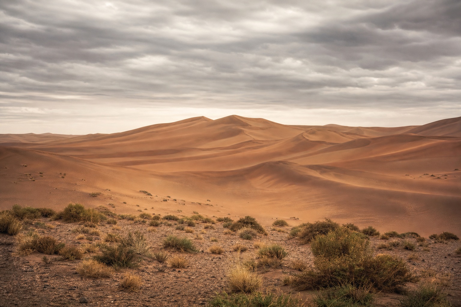 Wind-shaped desert dunes under a soft overcast sky with sparse foreground shrubs.