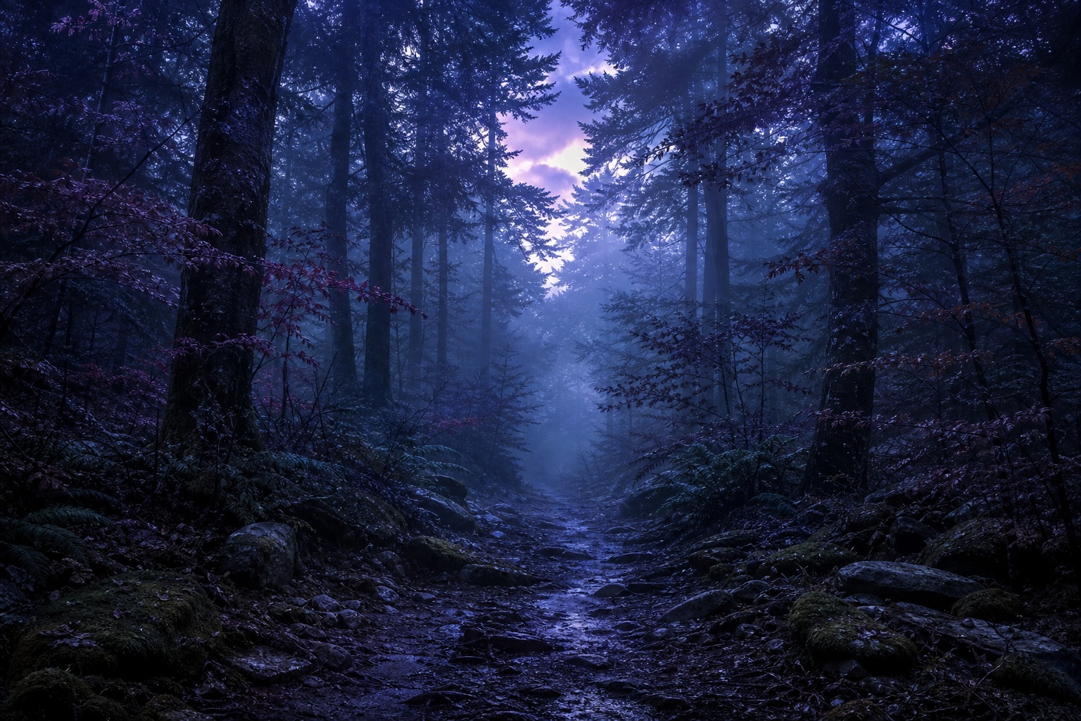 Misty forest path surrounded by dark trees under a twilight sky