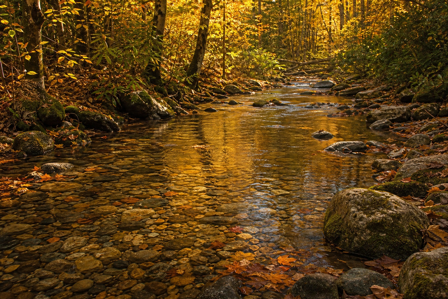 Preview for Autumn Clear Pebble Creek Background