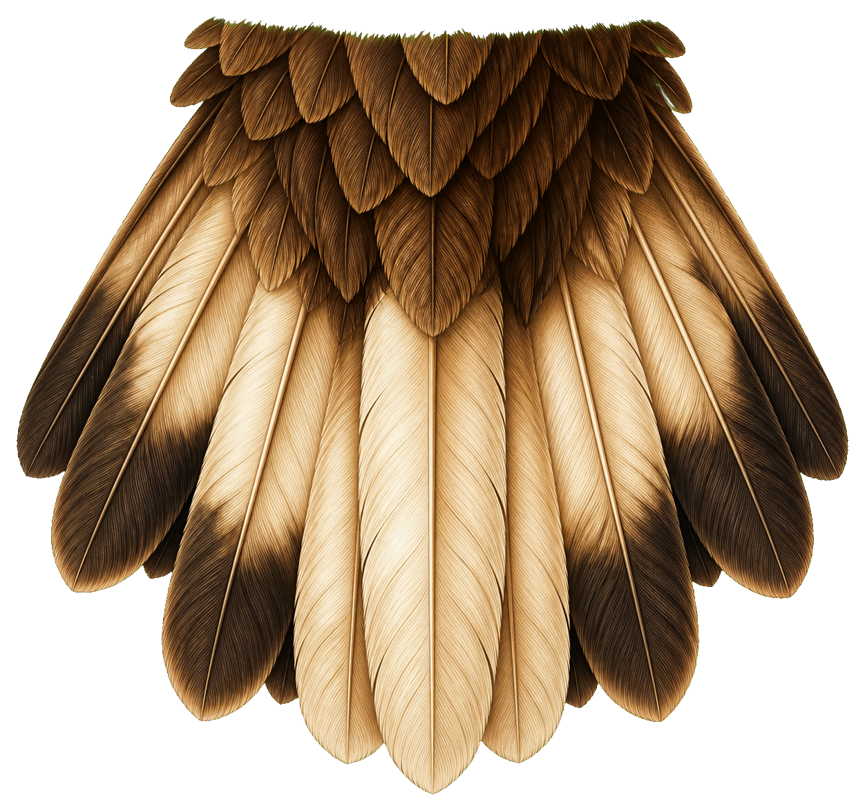 Preview for Eagle Tail Feathers Sticker