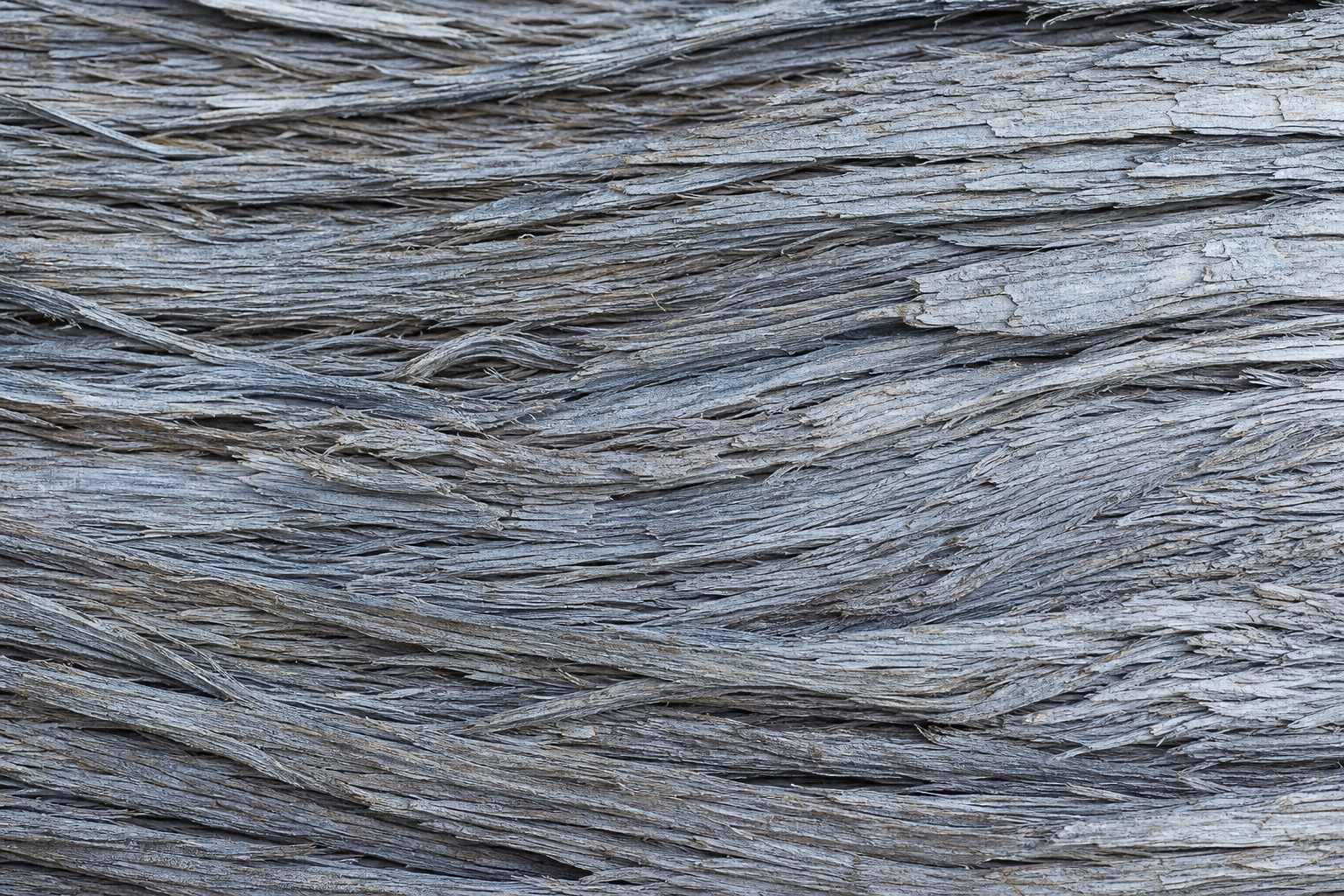 Preview for Cool Silver Cedar Bark Texture Background