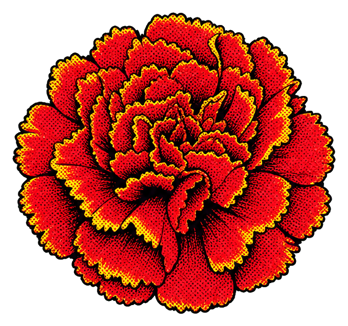 Preview for Retro Red Carnation Sticker