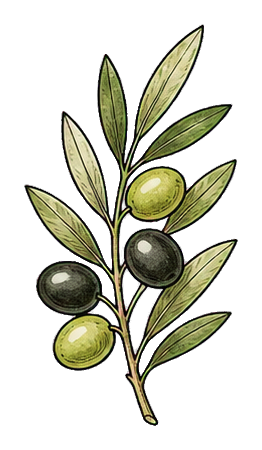 Preview for Olive Branch Sticker For Design Projects