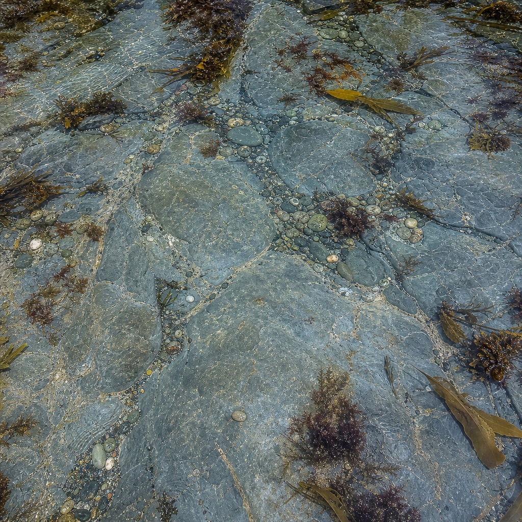 Preview for Cool Slate Rock Pool Texture Background