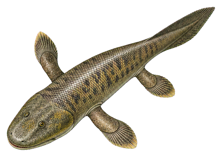 Realistic Tiktaalik fish with spotted body and fins shown as a sticker graphic