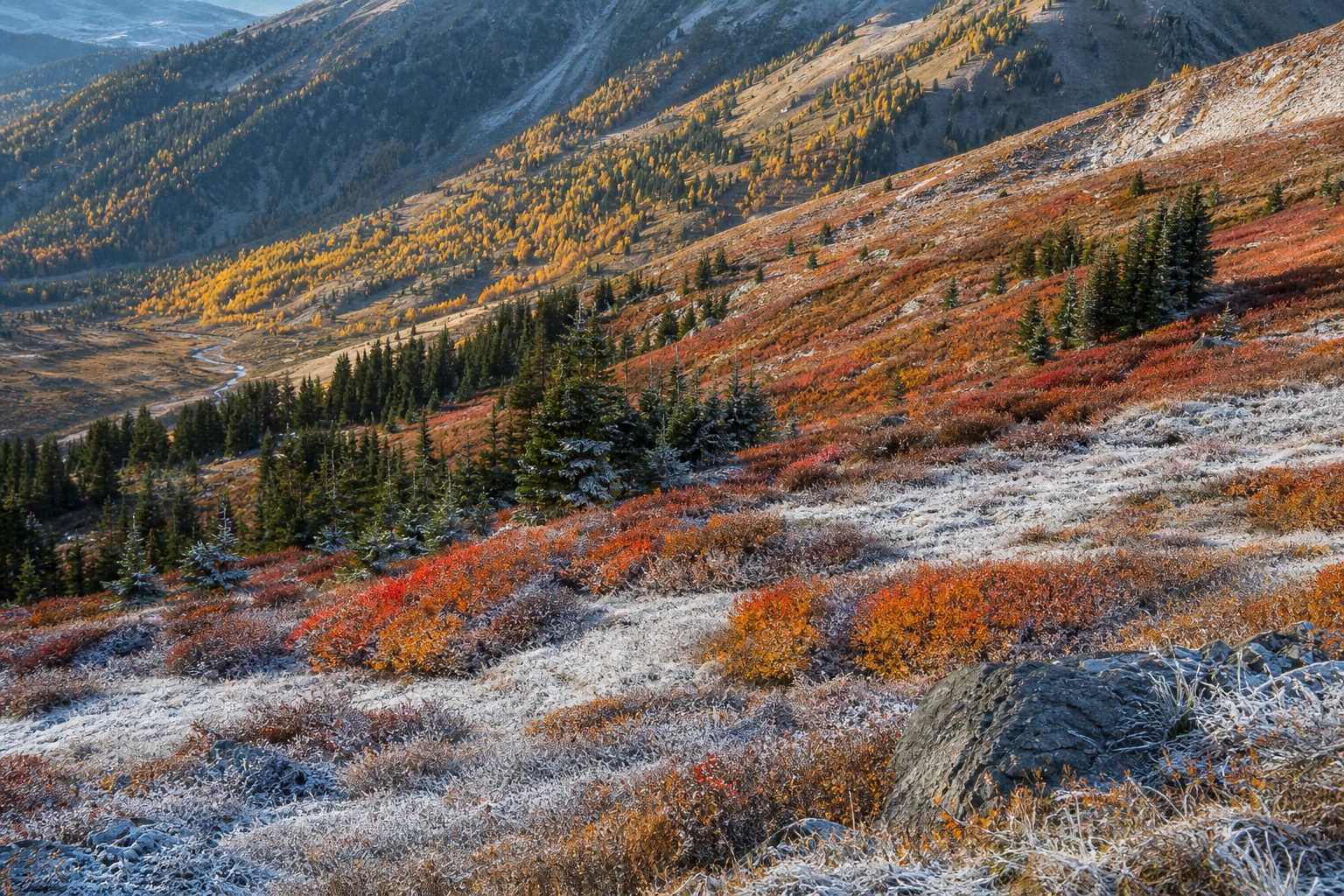Autumn hillside with frosted grass, orange trees, and snowy mountains under a cloudy sky