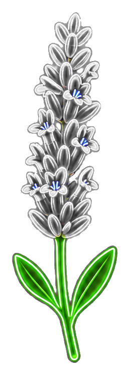 Neon lavender flower with glowing violet blossoms, green stem, and leaves