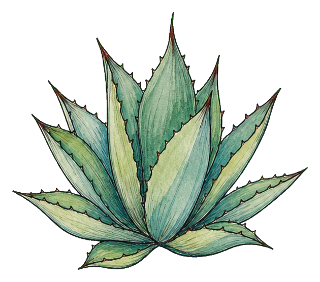 Preview for Agave Plant Sticker