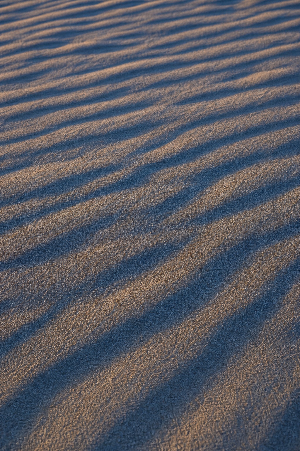 Preview for Blue Hour Sand Ripples Stock Background