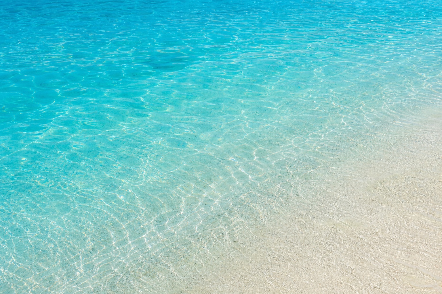 Cyan tropical lagoon water with gentle ripples beside a pale sandbar