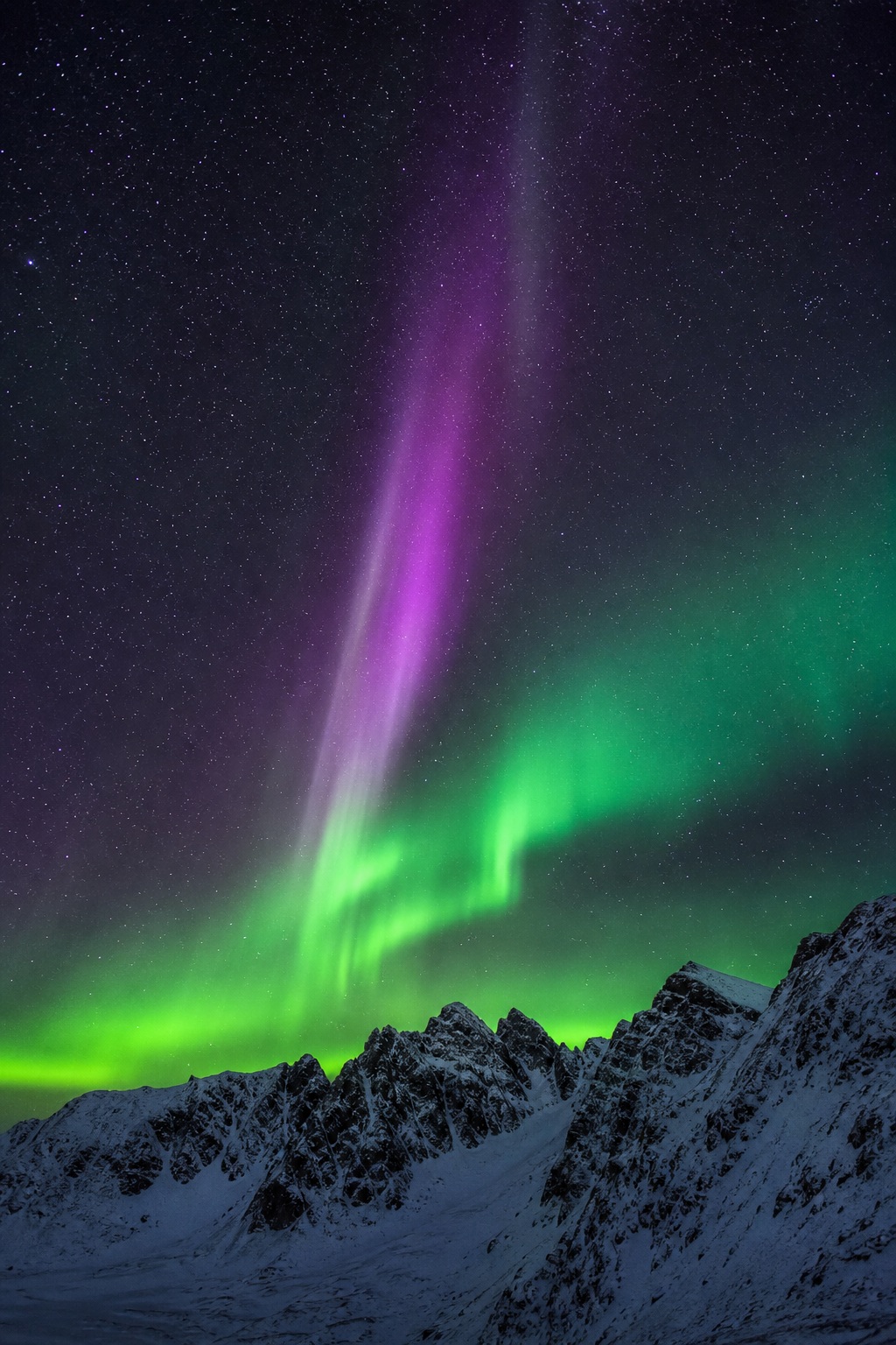 Preview for Vertical Purple Aurora Ridge Background