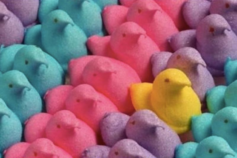 Preview for Colorful-peeps-easter-candy-easter-meme-background-fe237