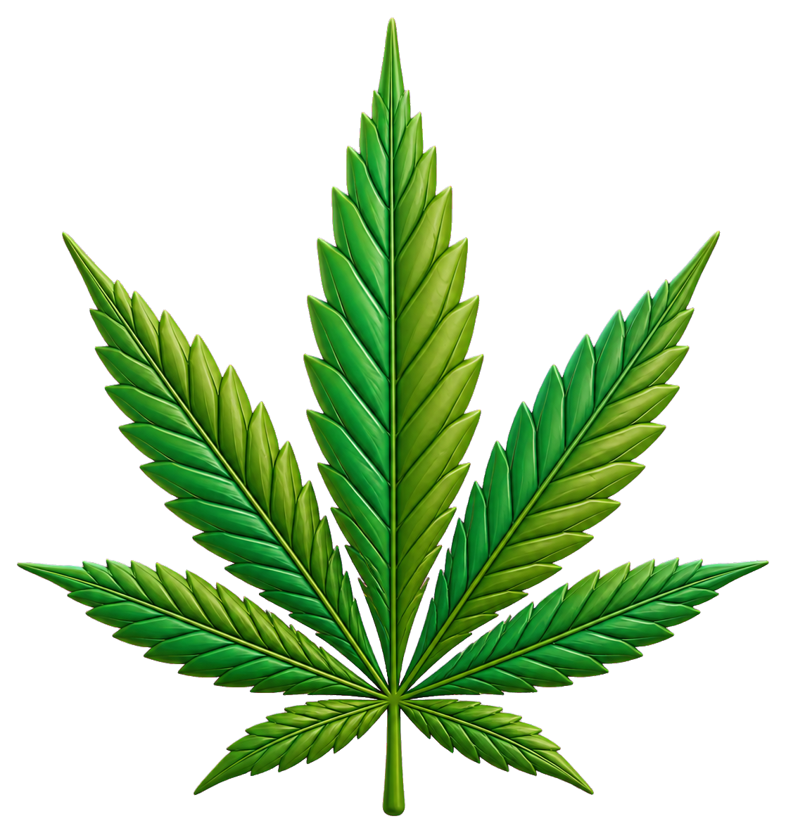 Green cannabis leaf with pointed leaves and detailed veins on a transparent background