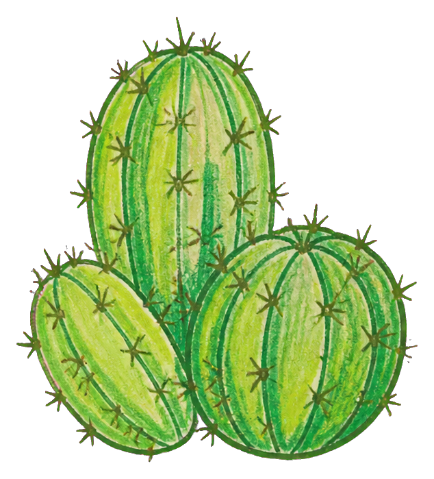 Preview for Cactus Cluster Sticker
