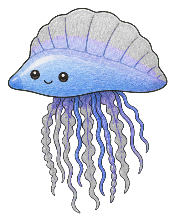 Preview for Portuguese Man O War Sticker
