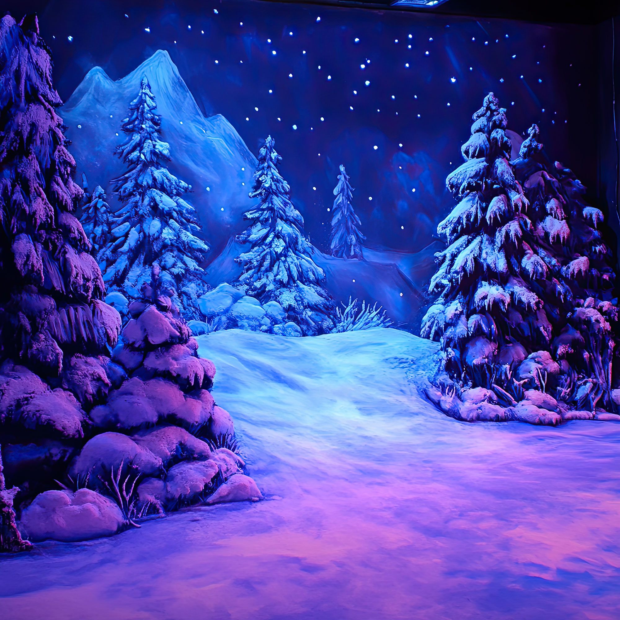 Preview for Winter-wonderland-scene-christmas-backdrop-background-d4b02
