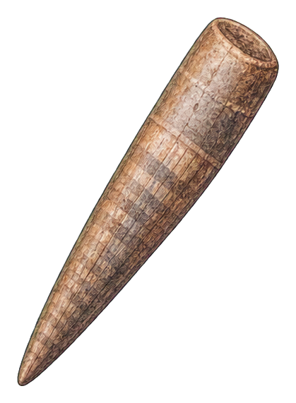 Preview for Belemnite Fossil Sticker
