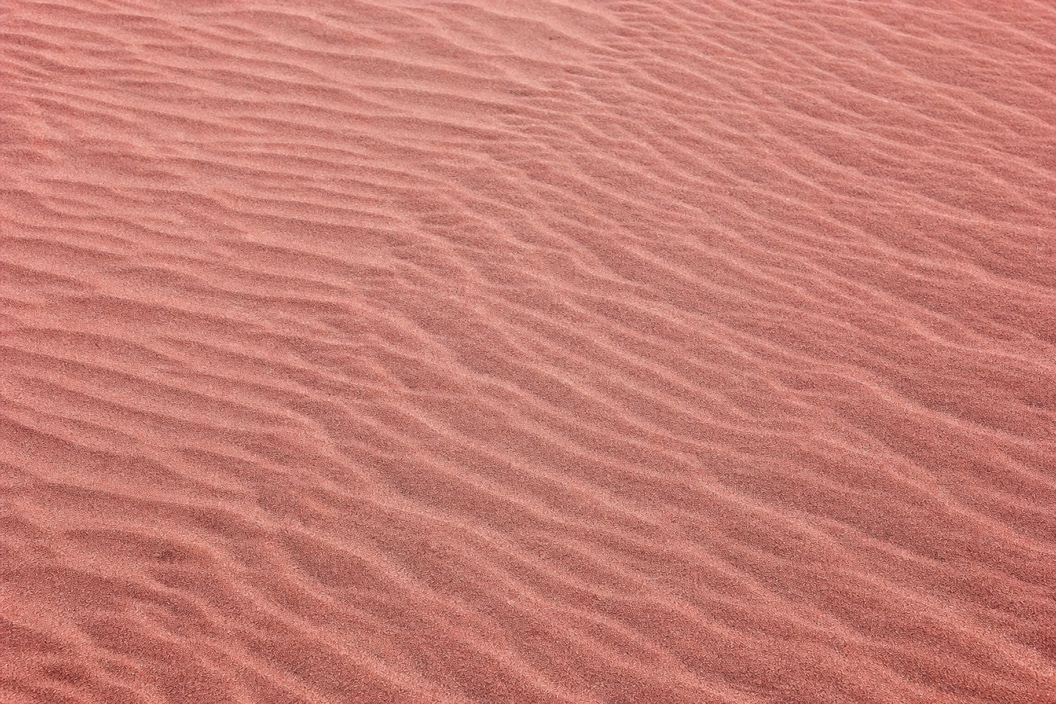 Preview for Rose Desert Sand Texture Background