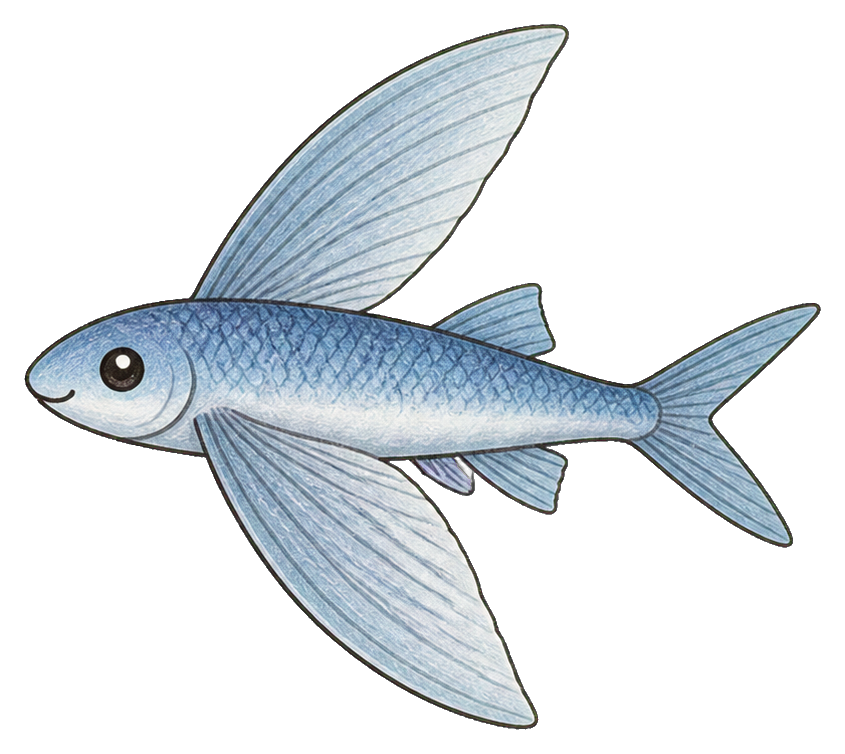 Cute flying fish with pale blue body and large translucent fins in profile