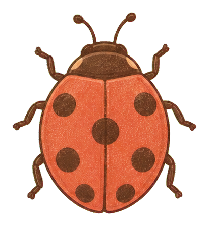 Coral ladybug sticker with seven dark spots and curled antennae