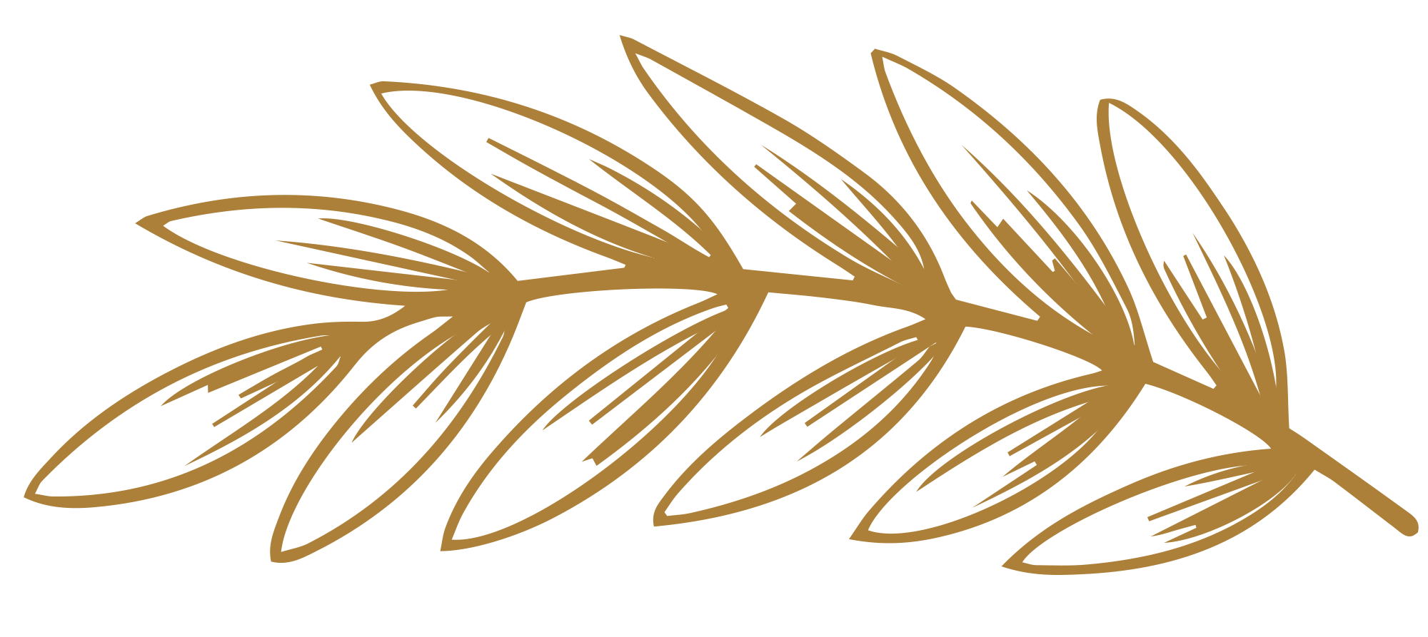 Preview for Golden-olive-branch-illustration-holiday-design-sticker-679fc