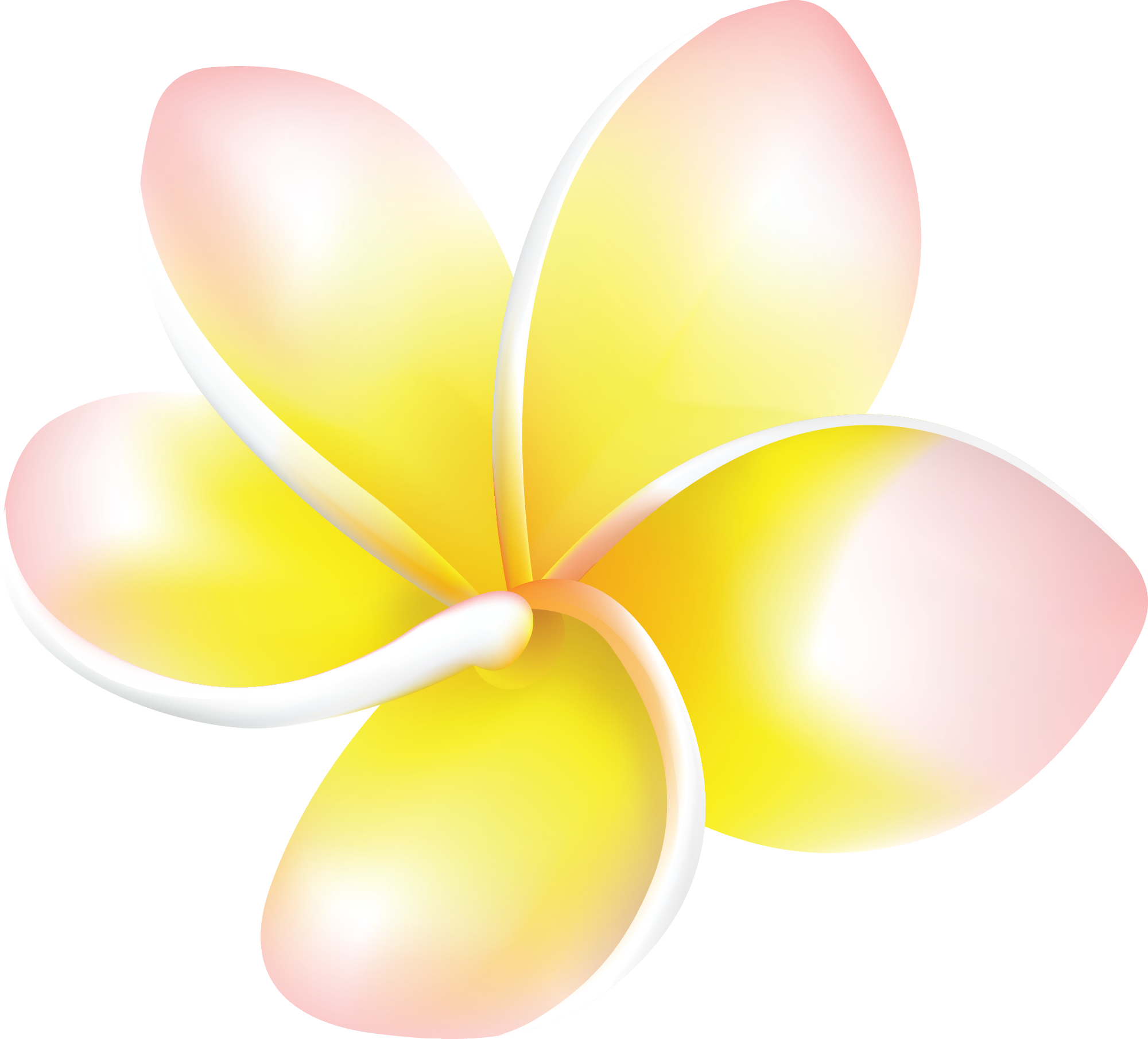 Preview for Plumeria-flower-icon-design-summer-sticker-e72cf
