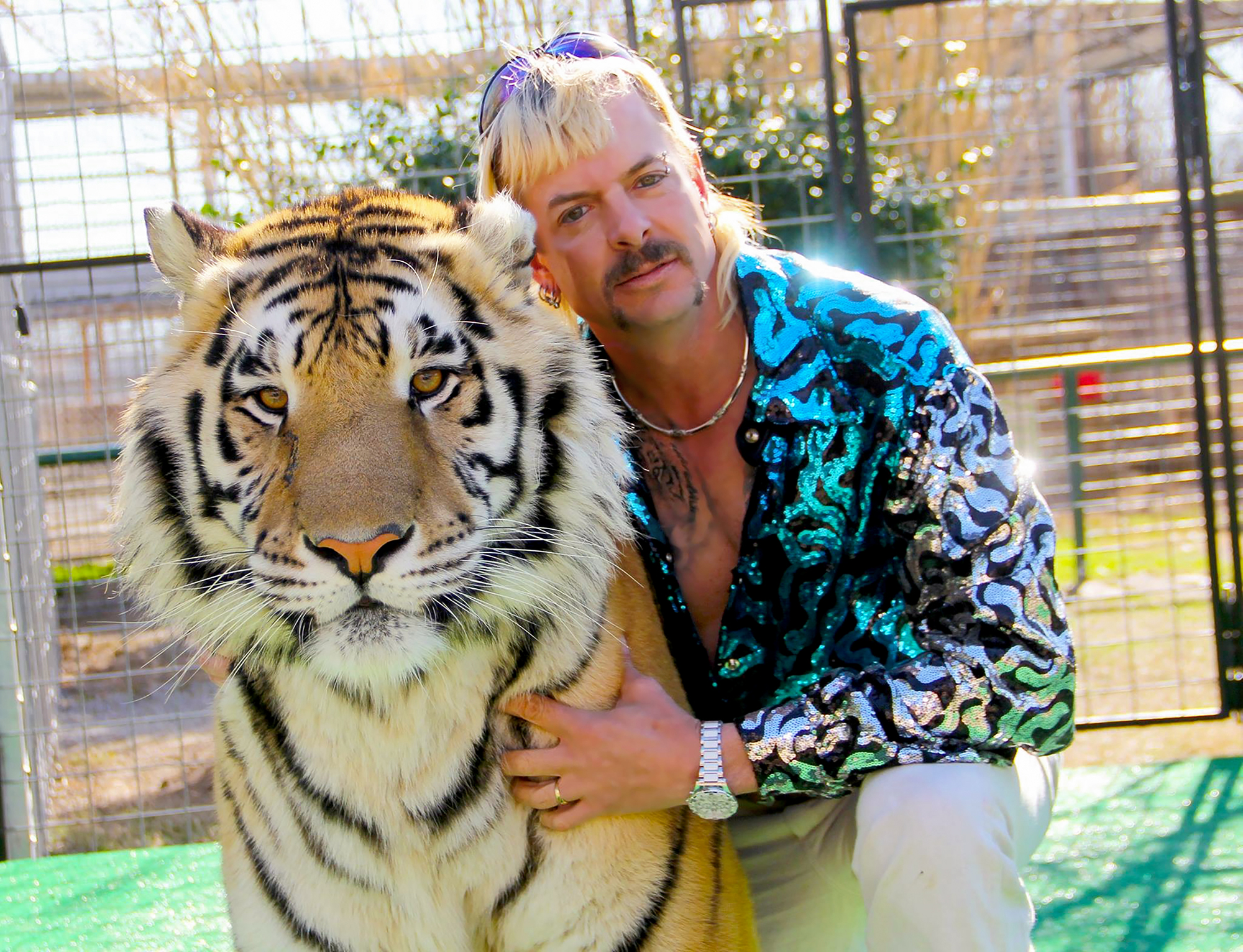 Preview for Joe-exotic-tiger-encounter-celebrity-meme-background-e6063