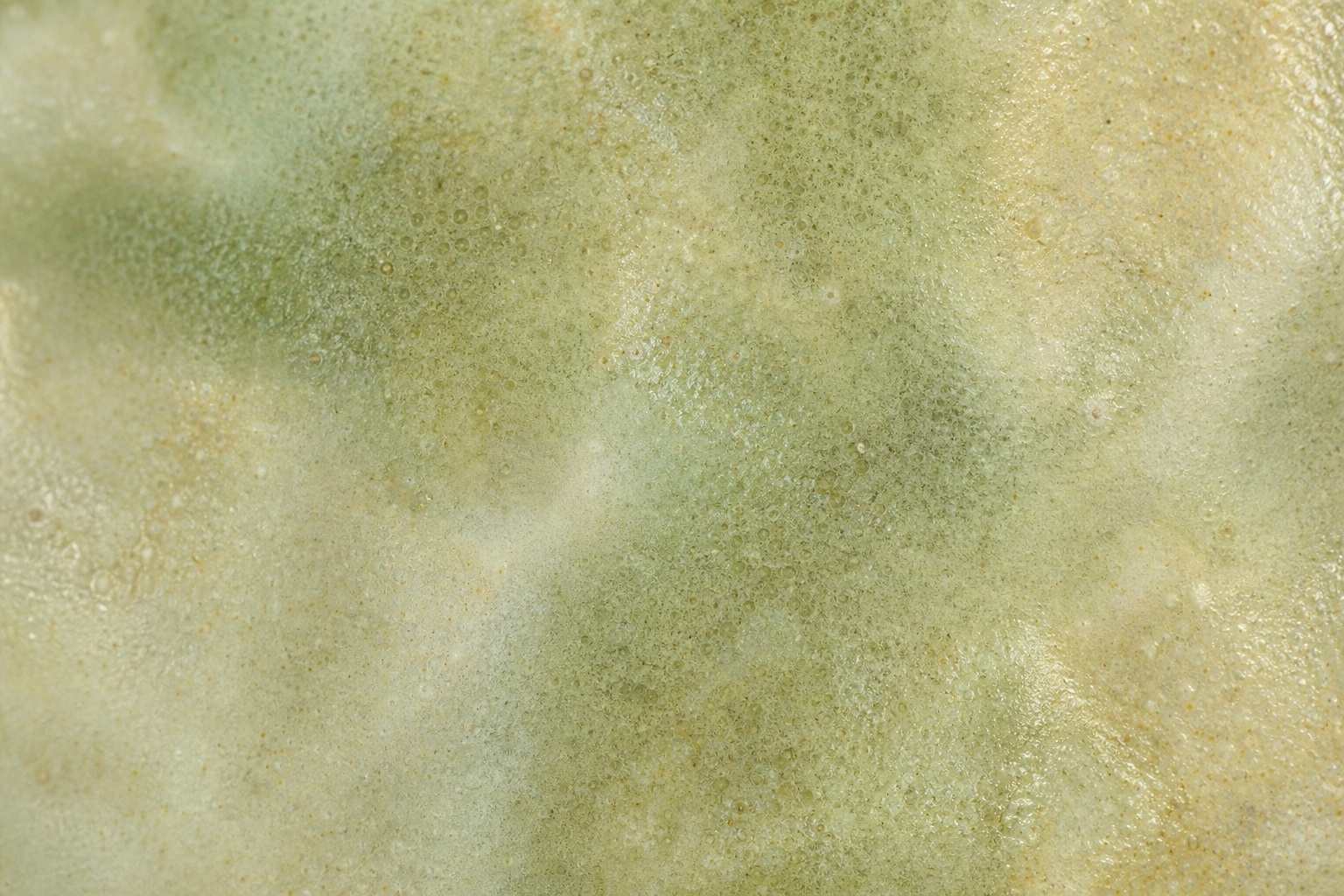 Preview for Ivory Sage Matte Satin Glaze Background