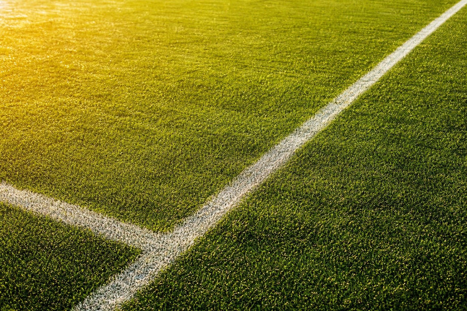 Preview for Sunlit Soccer Field Texture Background